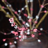 餅花