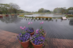雨上がりの公園