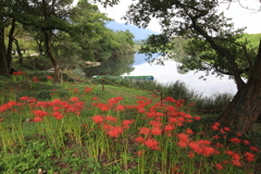 川べり