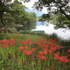 川べり