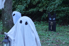 不審者見つめる猫