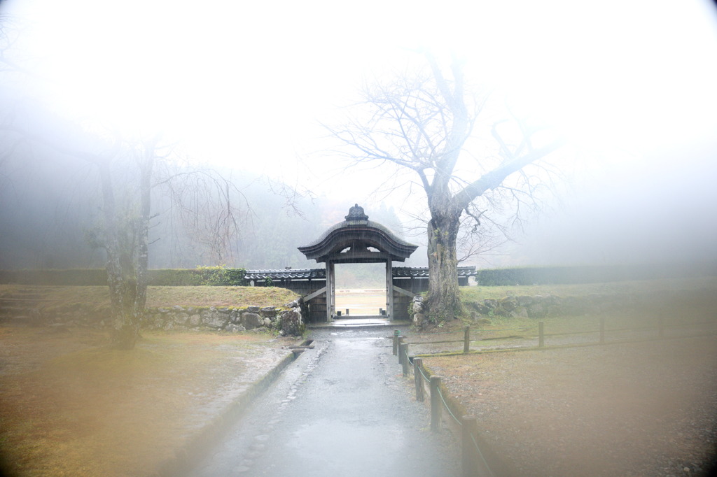 夢の跡 越前 朝倉義景氏館跡