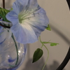 活ける