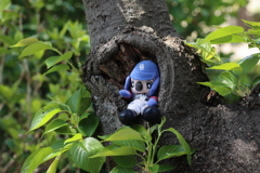 一休み　ドアラ