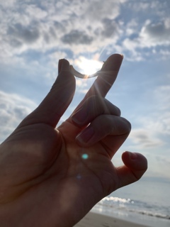 貝殻で太陽すくってみました笑