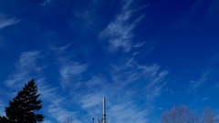 冬の空