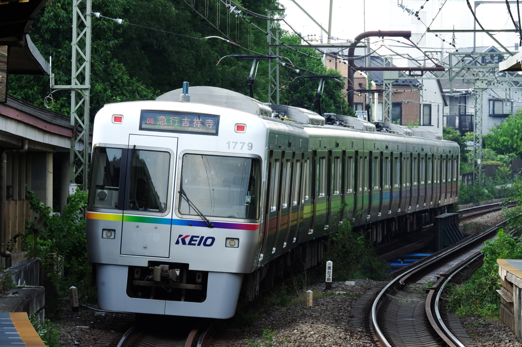 かわいい井の頭線