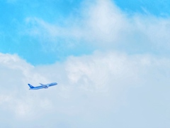 ANAの機体って色合いが可愛いよね