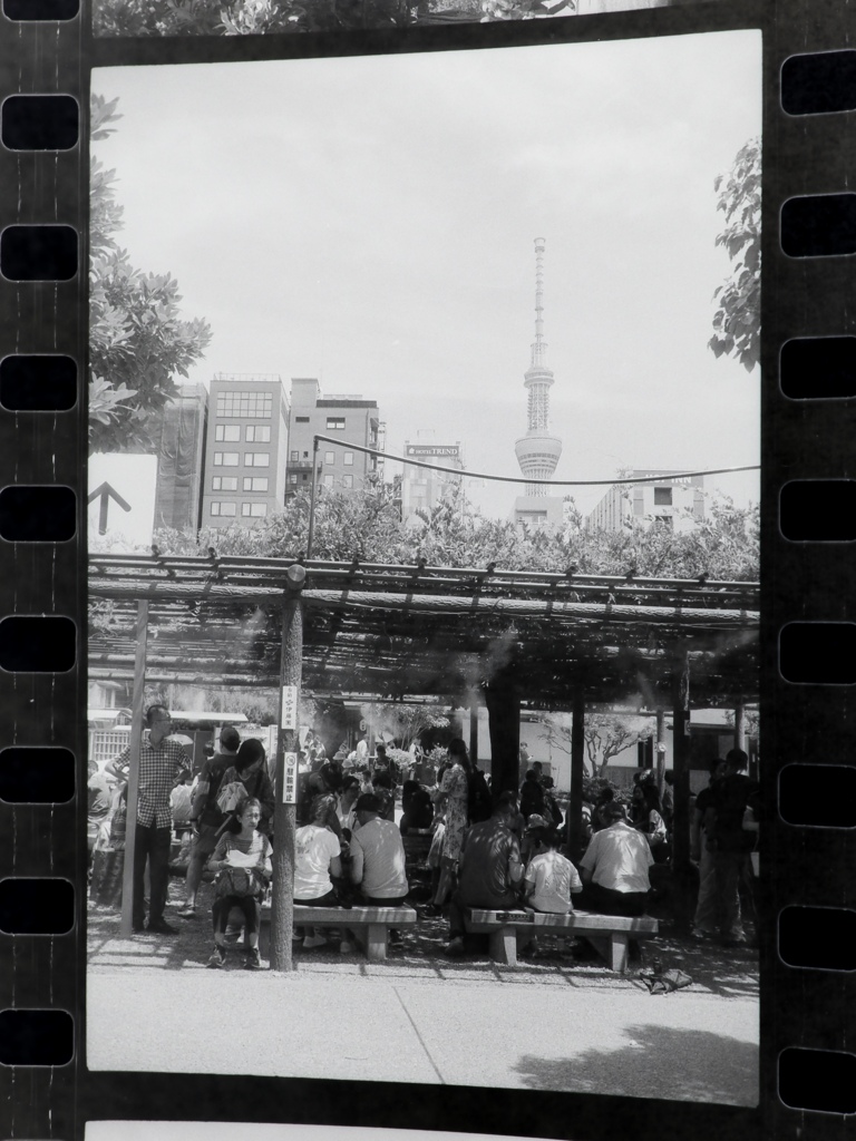 東京の夏