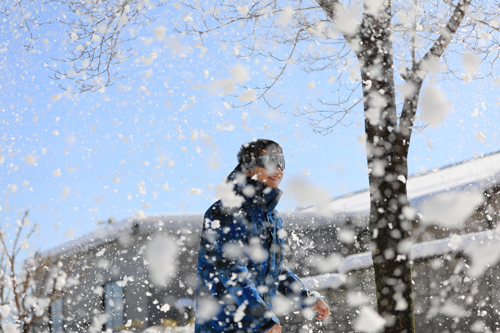 枝の雪下ろし