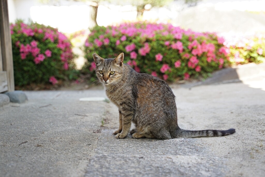 お利巧座り3