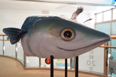 魚眼レンズ