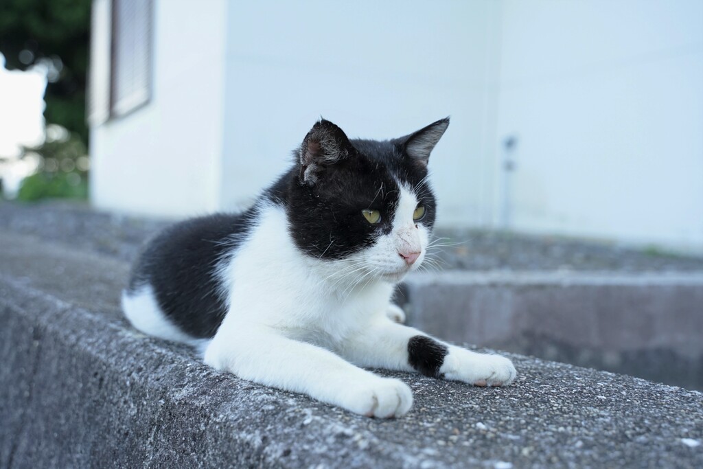 カメラに目もくれず