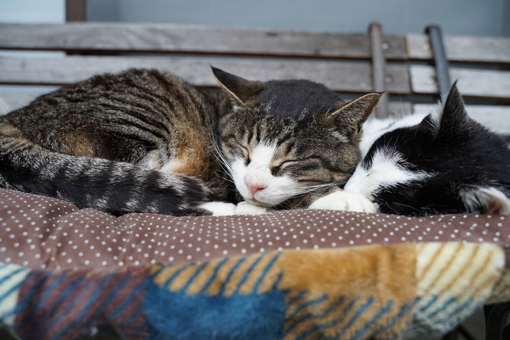 お眠む