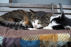 お眠む