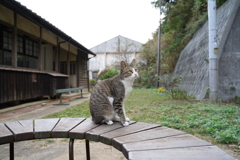 空を眺めて