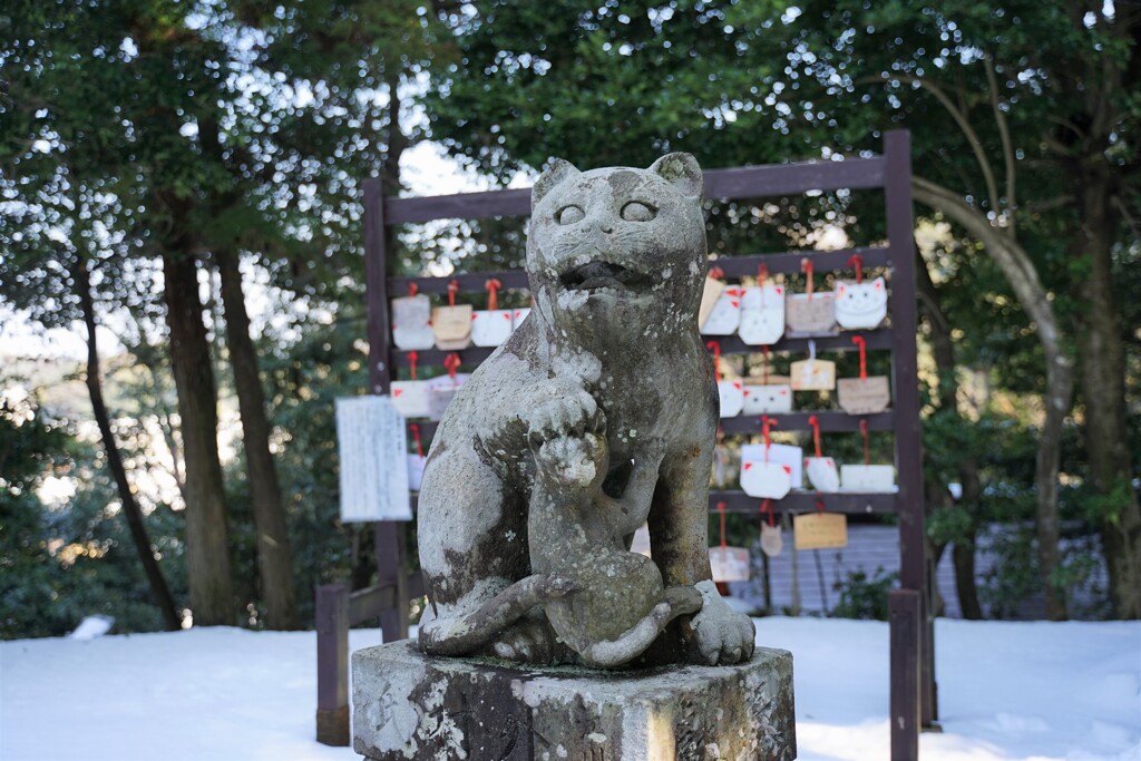 狛猫1