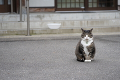 凛々しい立ち姿