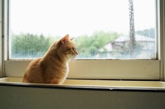 雨の日の憂鬱