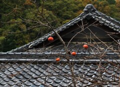 雨上がり