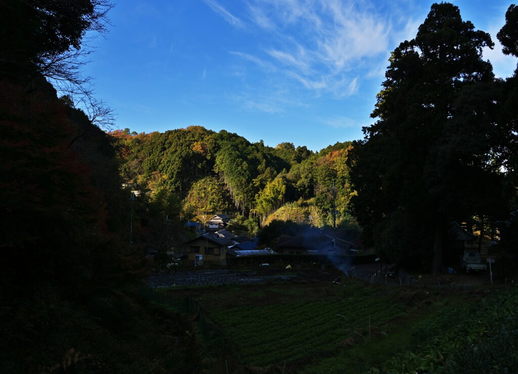 里山