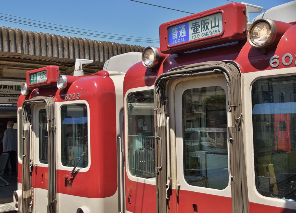 壺阪山行