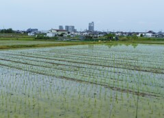 北野田遠望
