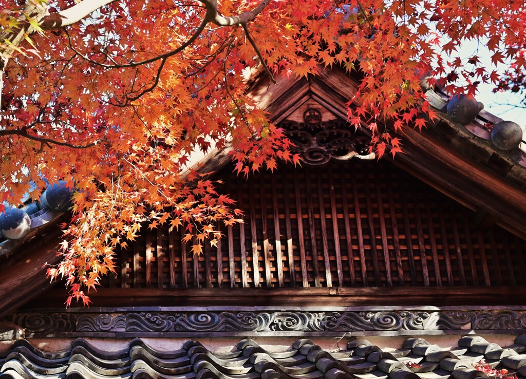 屋根の色