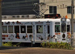 和歌山電鉄たま電車