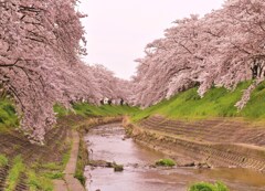 うねる