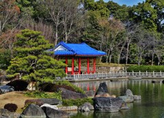 冬の池