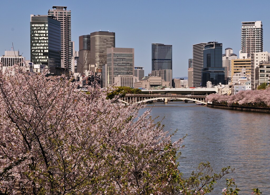 河岸の賑わい