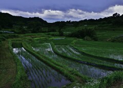 里山の田