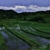 里山の田