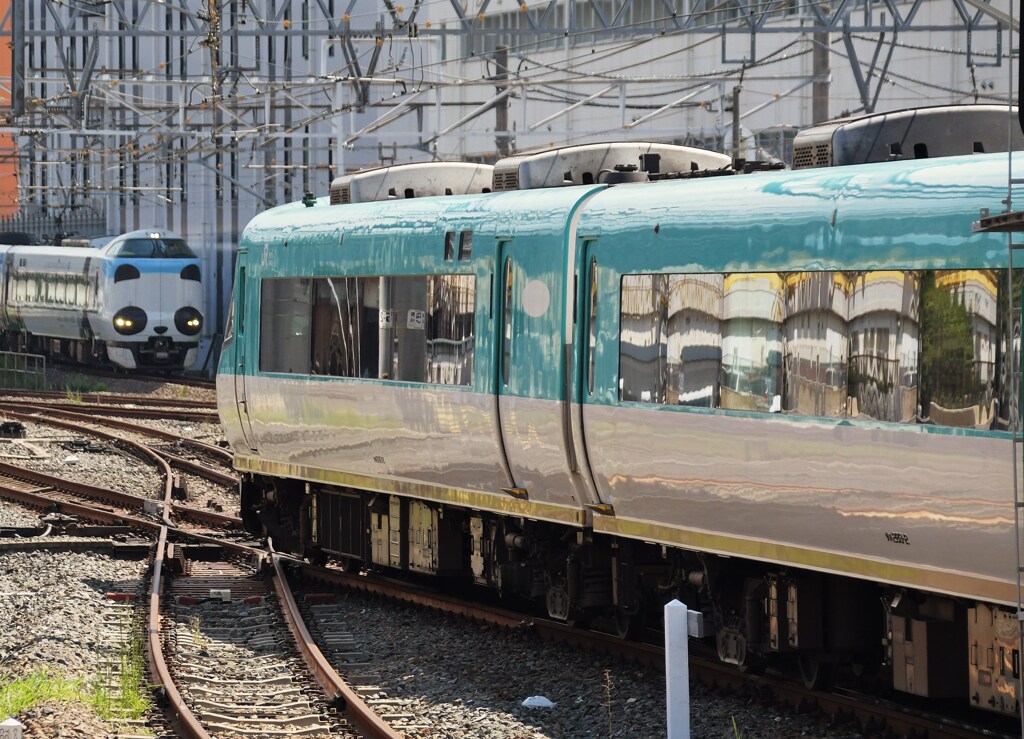 オーシャンアロー