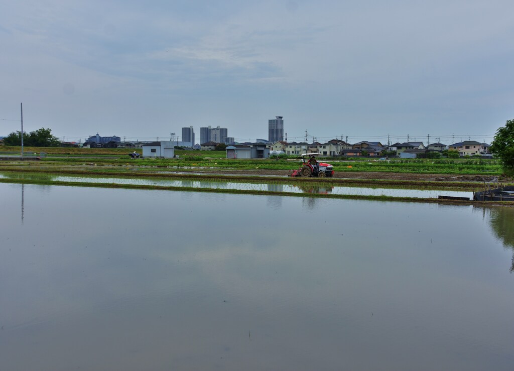 田植えの季節