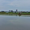 田植えの季節