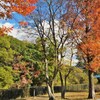 初冬の古墳