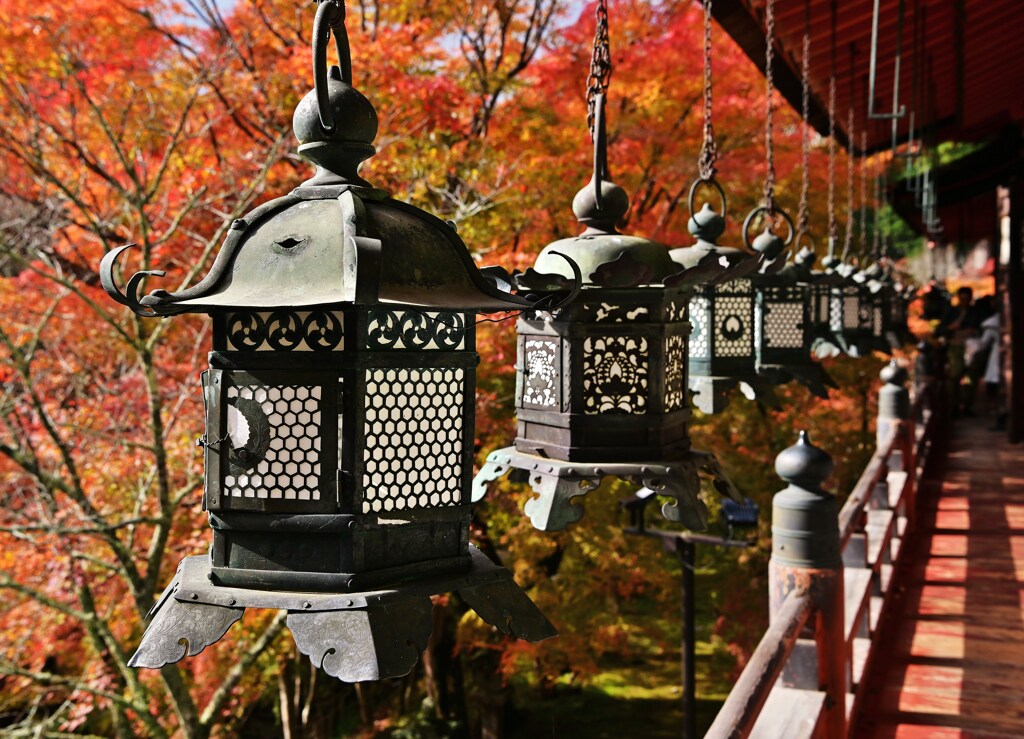 紅葉
