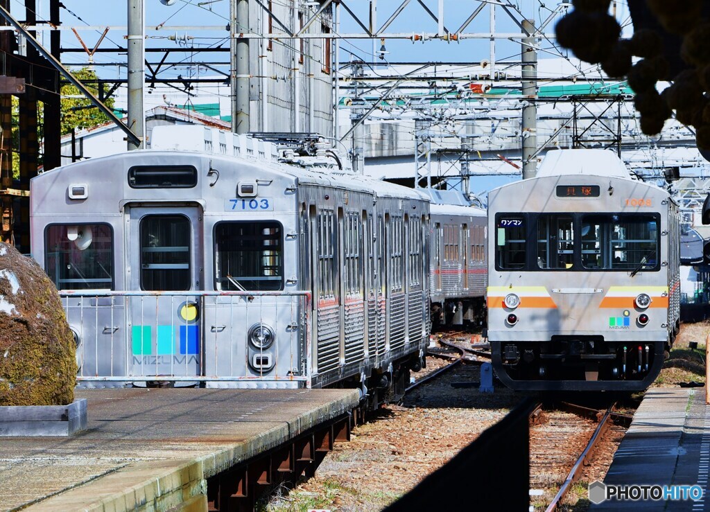 ステンレスカー