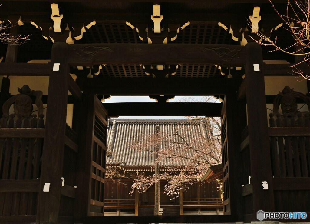 結界に咲く