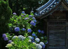 祠の横