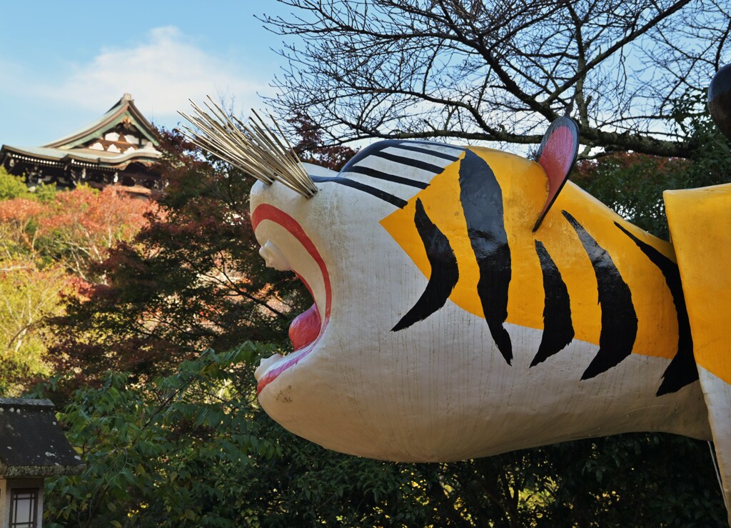 わおっ
