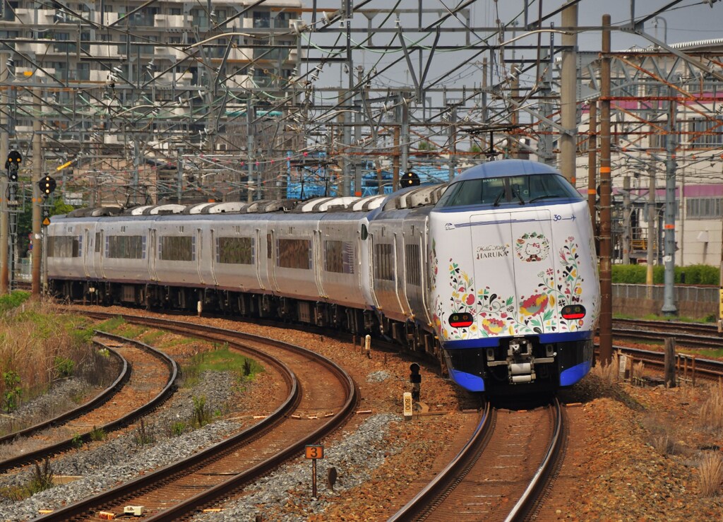 岸辺
