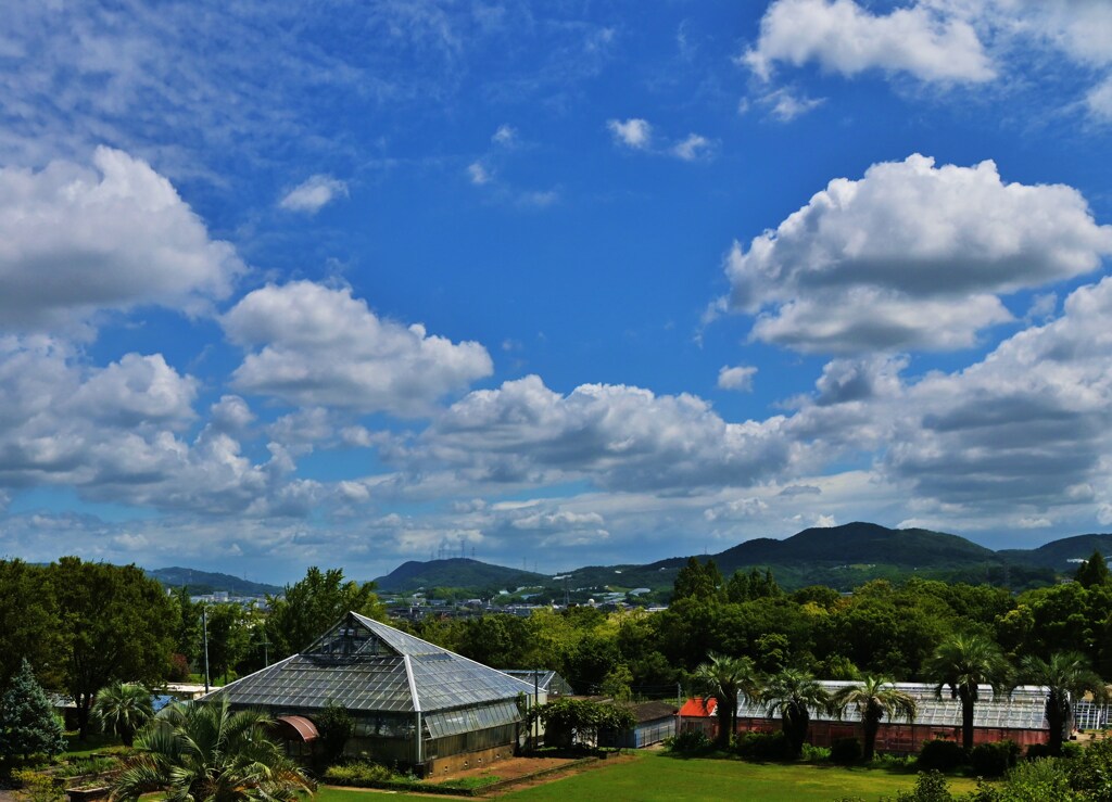 河内の空