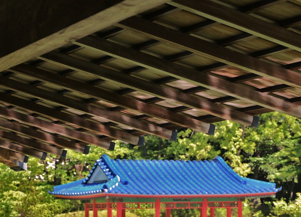 煌き