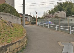 くねり登る