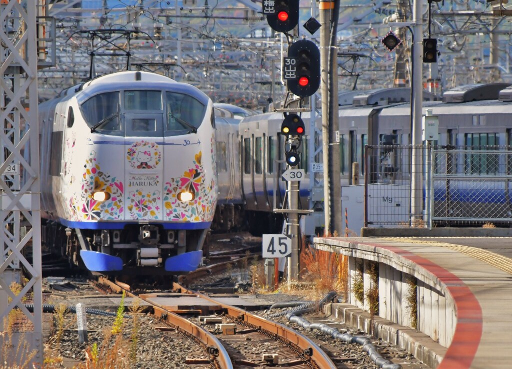 ハルカ融合