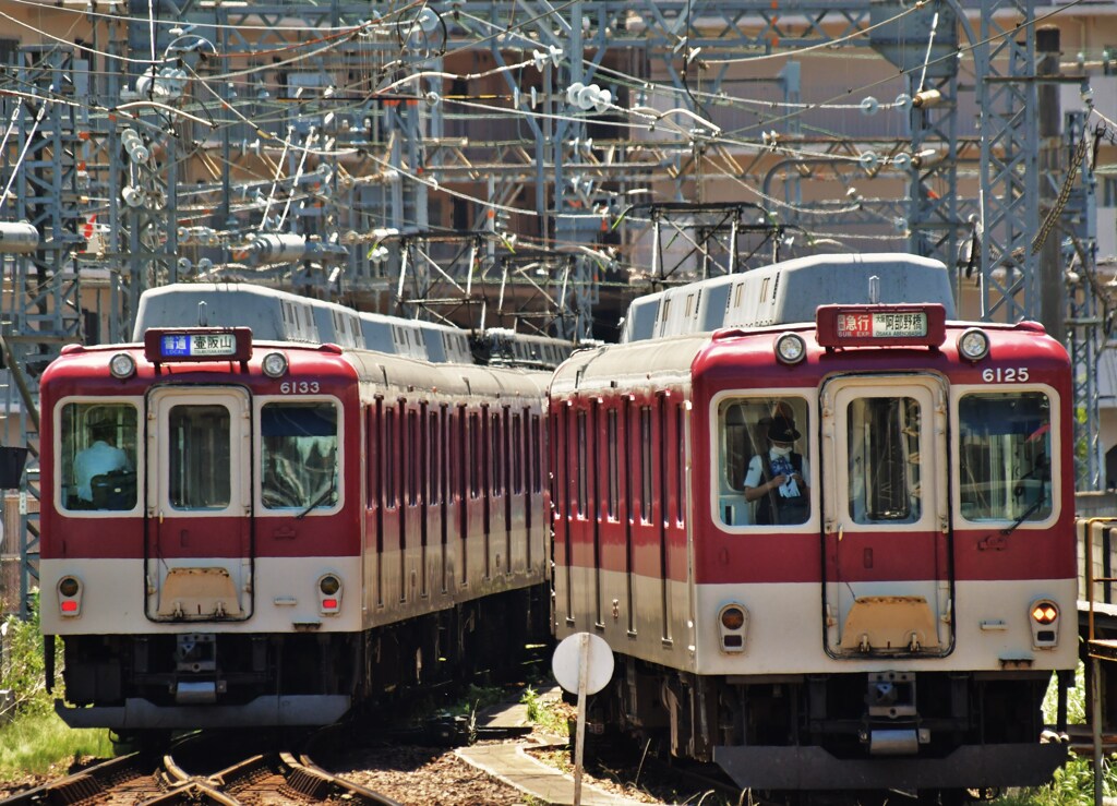壺阪山行