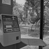 今も居る